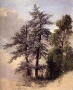 Asher Brown Durand Study from Nature Trees,Newburgh, painting